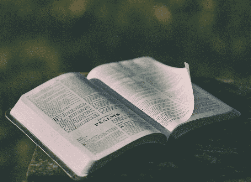 Biblia położona na kamieniu w otoczeniu górskiej przyrody, kartka przewracająca się na klolejną stronę. Fundacja dla Rodziny