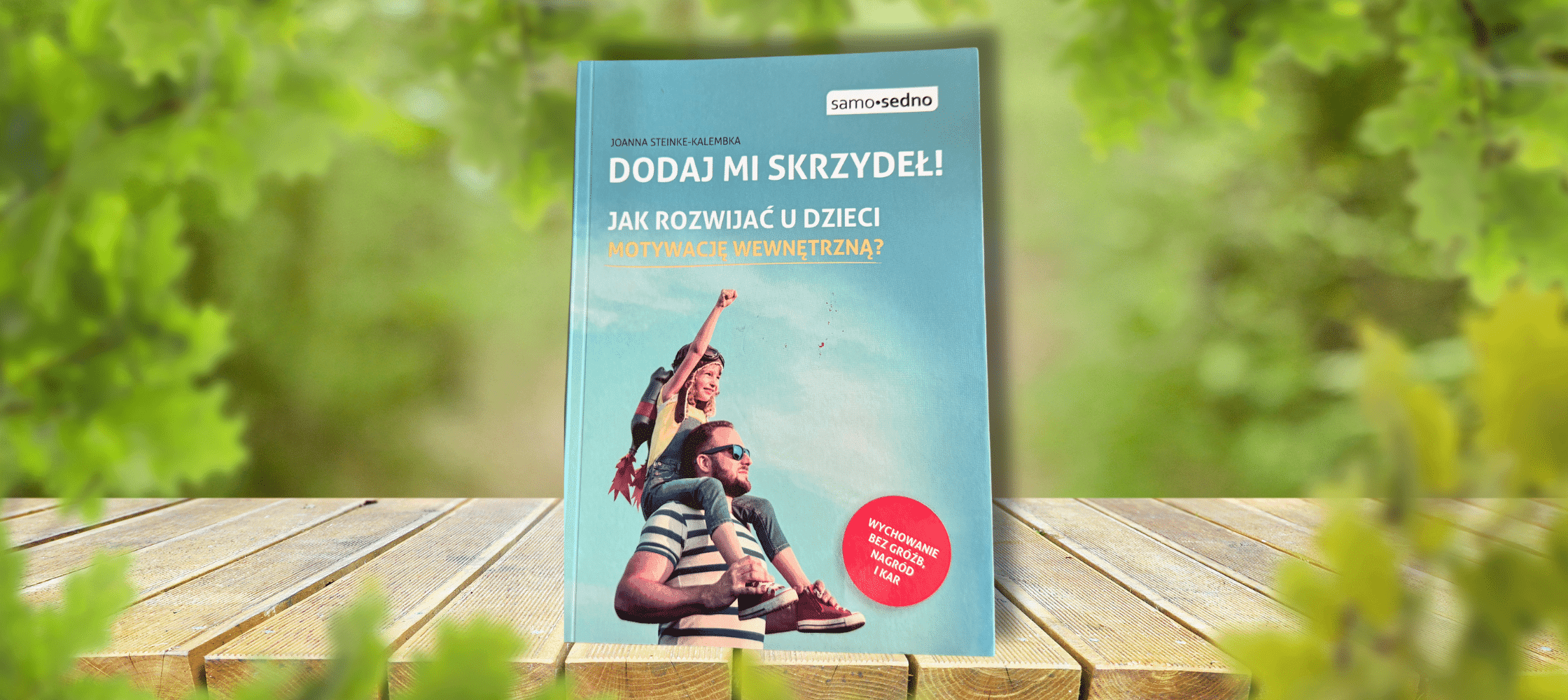 zdjęcie książki "Dodaj mi skrzydeł"