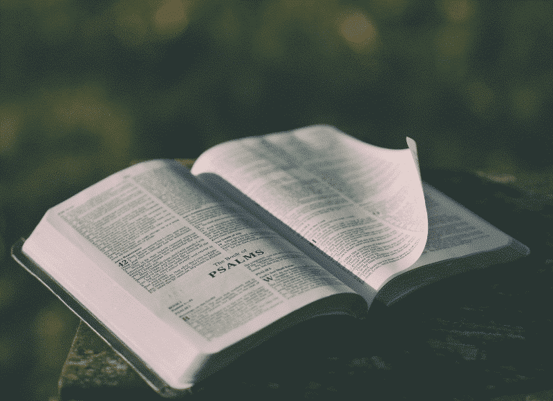 Otwarta książka na zewnątrz, strony przewracane przez wiatr, skupienie na rozdziale Psalms.
