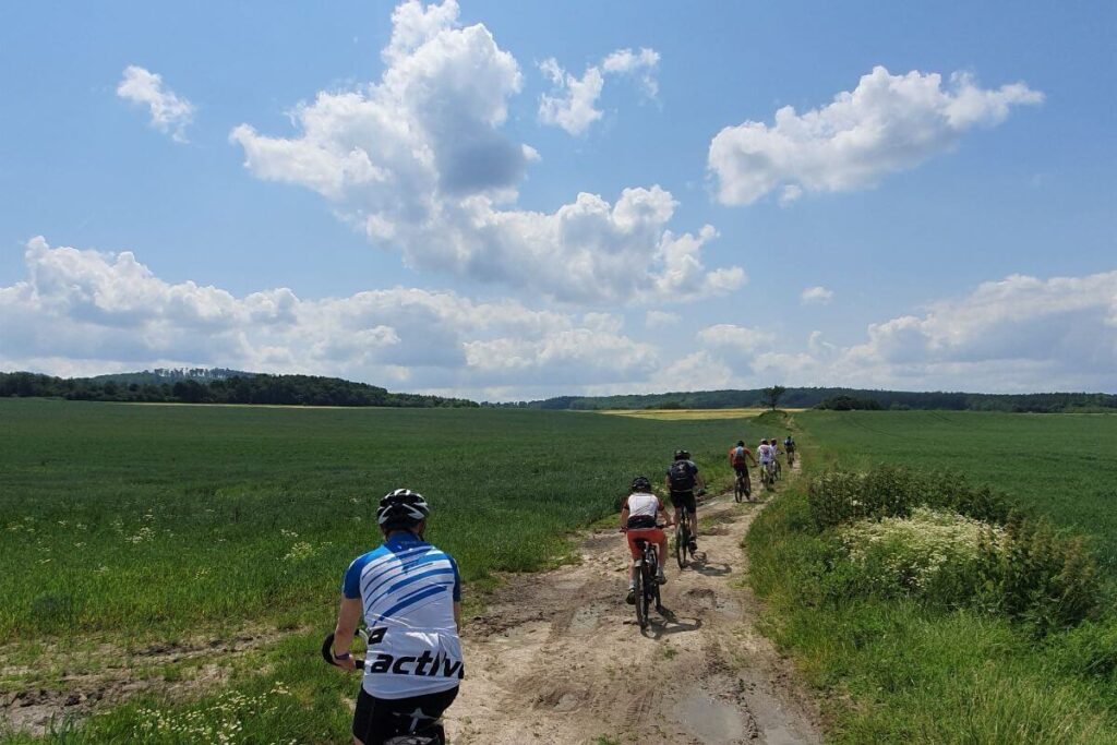 Grupa rowerzystów jedzie polną drogą przez zielone pola pod błękitnym niebem z chmurami.